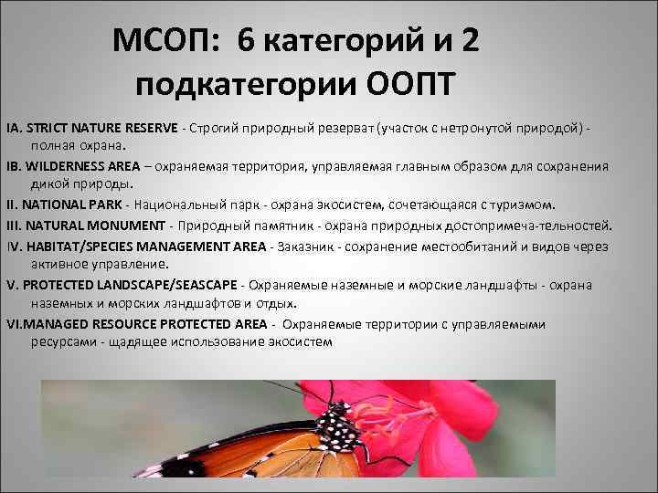 МСОП: 6 категорий и 2 подкатегории ООПТ IA. STRICT NATURE RESERVE Строгий природный резерват