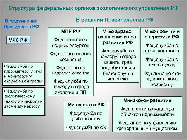 Структура федеральных органов экологического управления РФ В подчинении Президента РФ МЧС РФ В ведении
