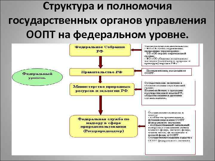 Управление особо. Компетенция государственных органов управления природопользованием. Управление природопользованием на федеральном уровне. Органы управления ООПТ. Структура управления природопользованием на федеральном уровне.