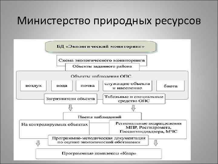 Министерство природных ресурсов 