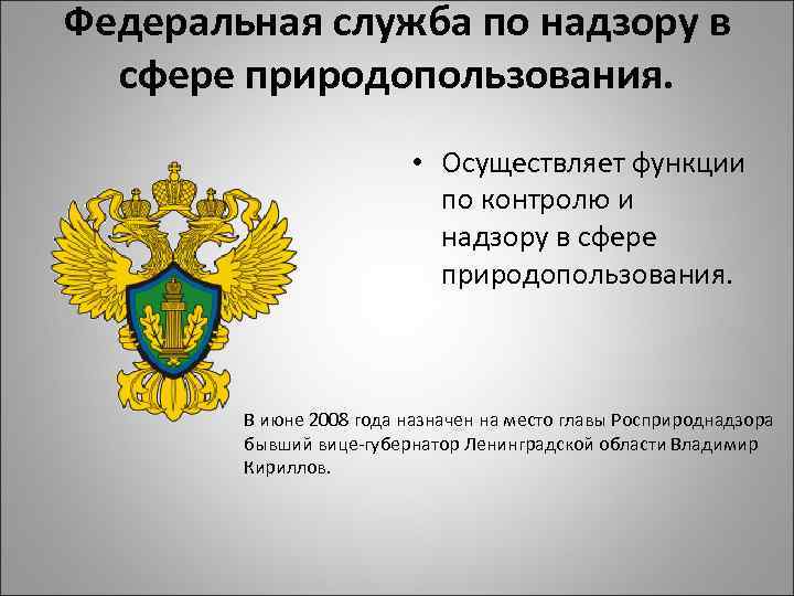 Федеральная служба природопользования. Федеральная служба по надзору в сфере природопользования функции. Федеральная служба осуществляет функции по. Контролю и надзору в сфере природопользования. Федеральная служба по надзору в сфере экологии и природопользования.