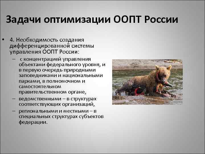 Задачи оптимизации ООПТ России • 4. Необходимость создания дифференцированной системы управления ООПТ России: –