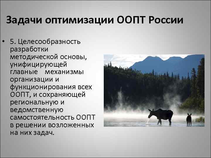 Задачи оптимизации ООПТ России • 5. Целесообразность разработки методической основы, унифицирующей главные механизмы организации