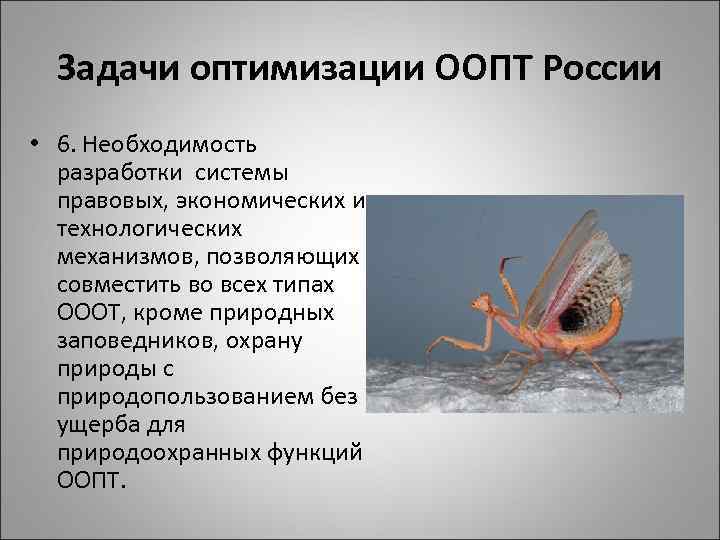 Задачи оптимизации ООПТ России • 6. Необходимость разработки системы правовых, экономических и технологических механизмов,