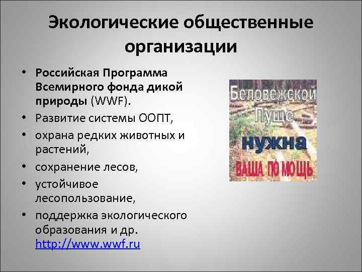 Экологические общественные организации • Российская Программа Всемирного фонда дикой природы (WWF). • Развитие системы