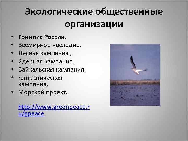 Экологические общественные организации Гринпис России. Всемирное наследие, Лесная кампания , Ядерная кампания , Байкальская