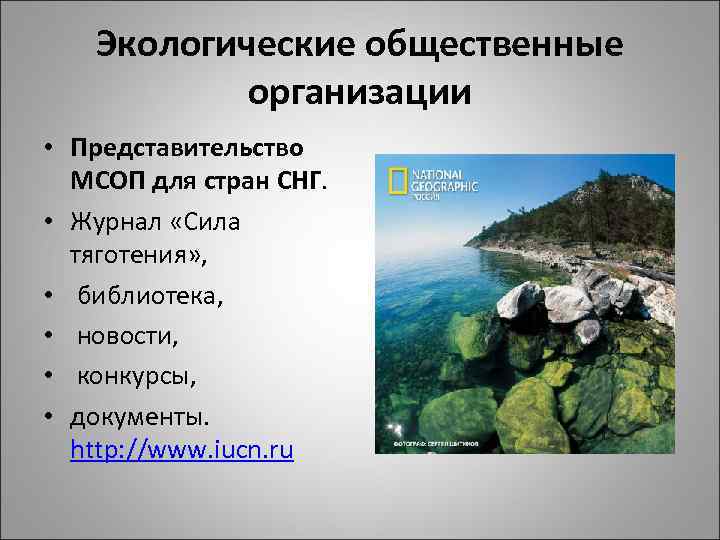 Экологические общественные организации • Представительство МСОП для стран СНГ. • Журнал «Сила тяготения» ,