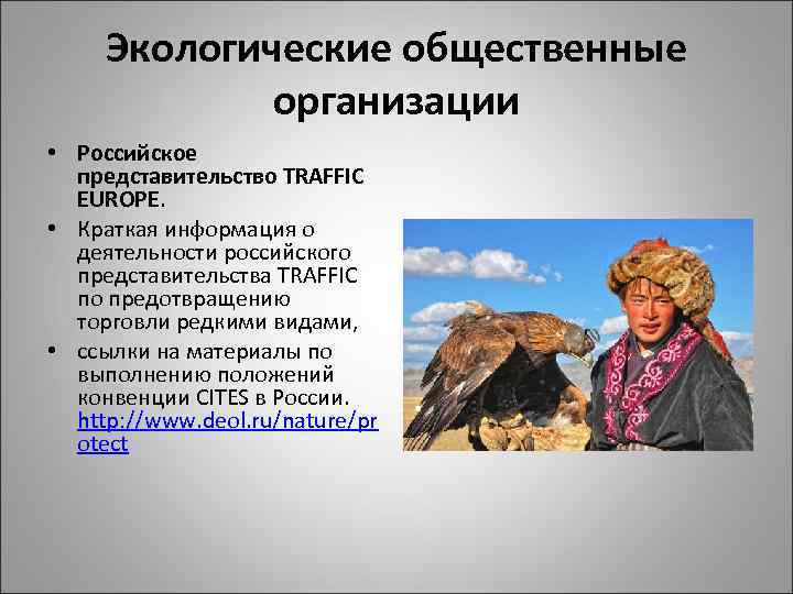 Экологические общественные организации • Российское представительство TRAFFIC EUROPE. • Краткая информация о деятельности российского