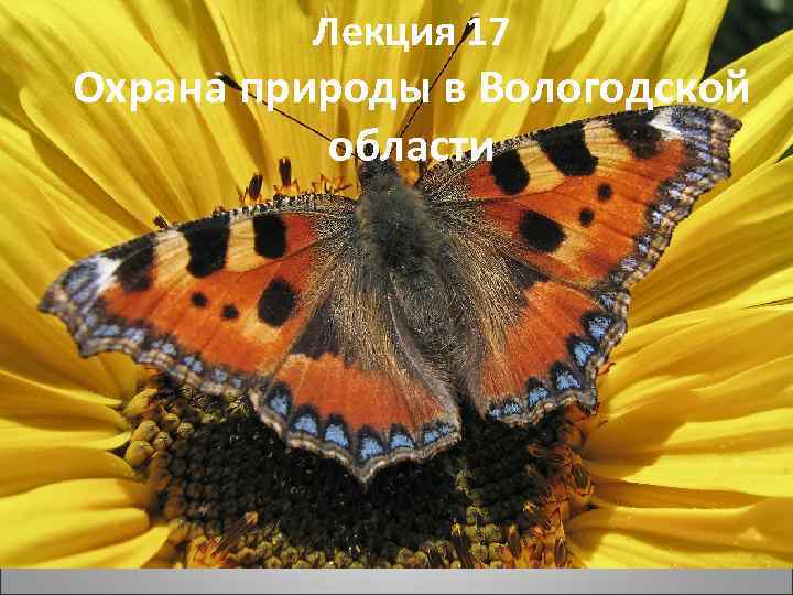 Лекция 17 Охрана природы в Вологодской области 