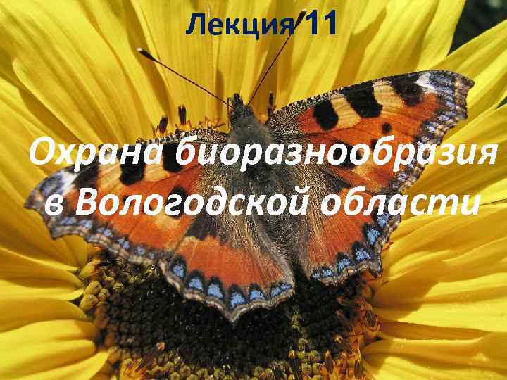 Лекция 11 Охрана биоразнообразия в Вологодской области 