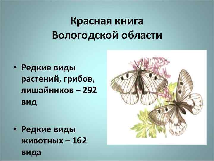 Красная книга Вологодской области • Редкие виды растений, грибов, лишайников – 292 вид •