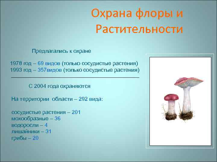 Охрана флоры и Растительности Предлагались к охране 1978 год – 69 видов (только сосудистые