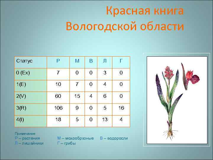 Проект красная книга вологодской области 4 класс