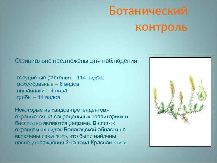 Ботанический контроль Официально предложены для наблюдения: сосудистые растения – 114 видов мохообразные – 6