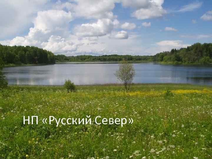 НП «Русский Север» 