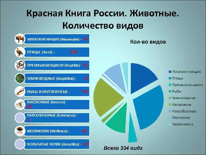 Красная Книга России. Животные. Количество видов МЛЕКОПИТАЮЩИЕ (Mammalia) – 74 ПТИЦЫ (Aves) – 126