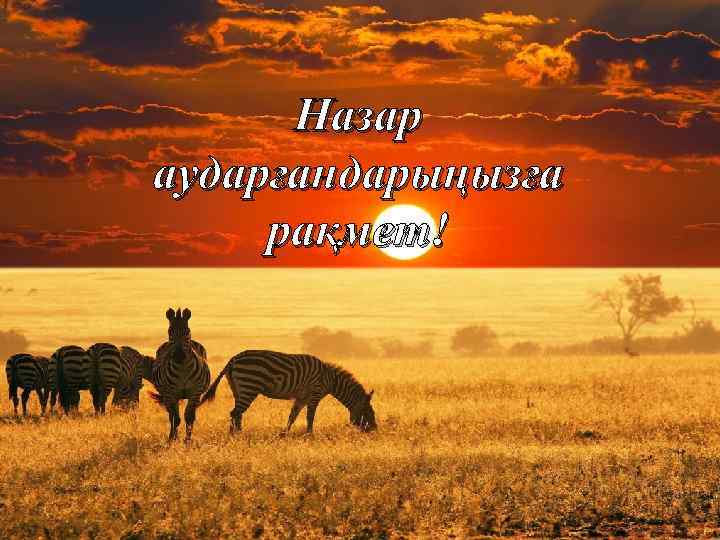 Назар аударғандарыңызға рақмет! 