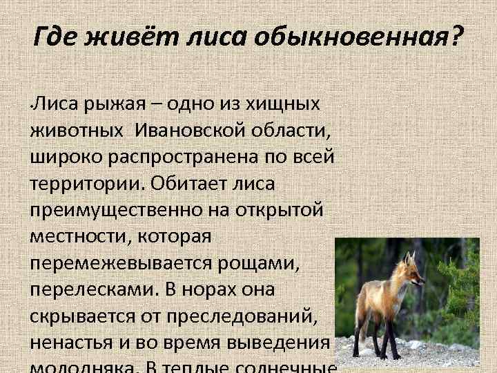 Классификация лисица обыкновенная 5 класс