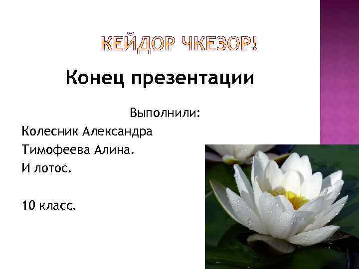 Конец презентации Выполнили: Колесник Александра Тимофеева Алина. И лотос. 10 класс. 