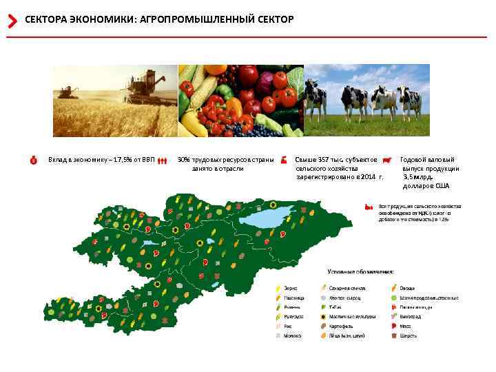 СЕКТОРА ЭКОНОМИКИ: АГРОПРОМЫШЛЕННЫЙ СЕКТОР Вклад в экономику – 17, 5% от ВВП 30% трудовых
