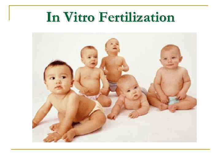 In Vitro Fertilization 