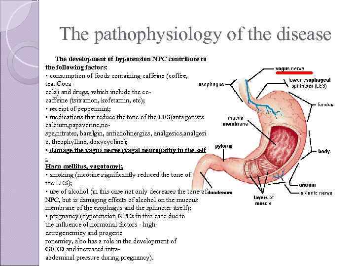 The pathophysiology of the disease The development of hypotension NPC contribute to the following