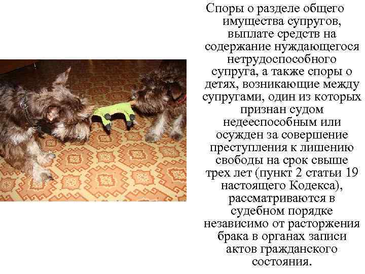 Споры о разделе общего имущества супругов, выплате средств на содержание нуждающегося нетрудоспособного супруга, а