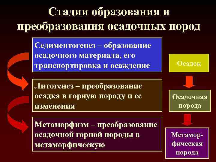 Стадии образования и преобразования осадочных пород Седиментогенез – образование осадочного материала, его транспортировка и