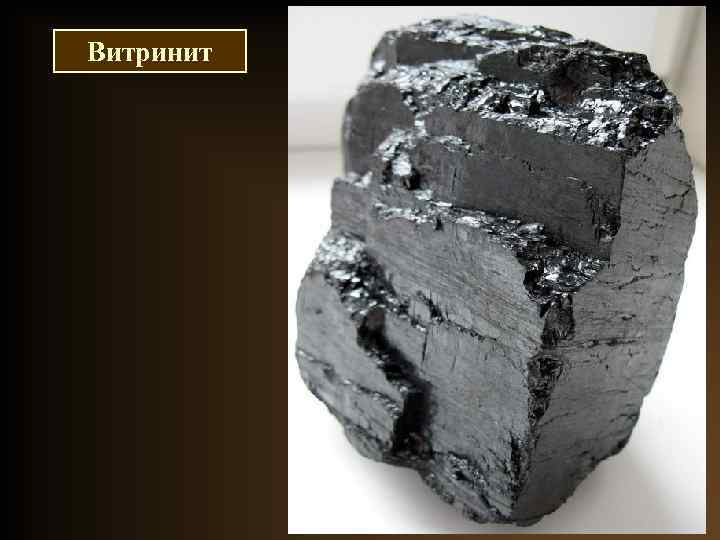 Витринит 