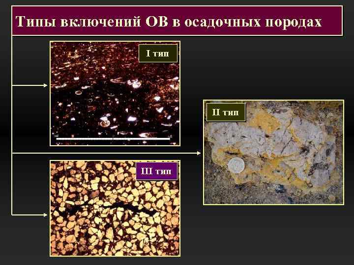 Типы включений ОВ в осадочных породах I тип III тип 