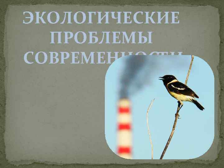 ЭКОЛОГИЧЕСКИЕ ПРОБЛЕМЫ СОВРЕМЕННОСТИ 