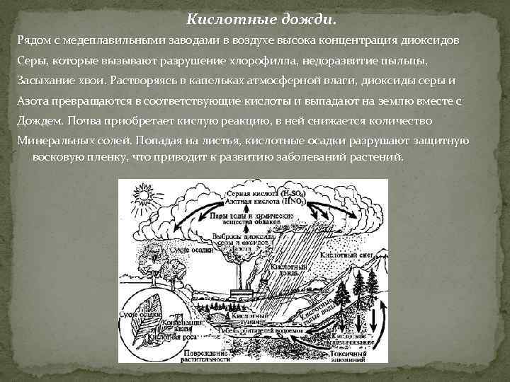 Кислотные дожди. Рядом с медеплавильными заводами в воздухе высока концентрация диоксидов Серы, которые вызывают
