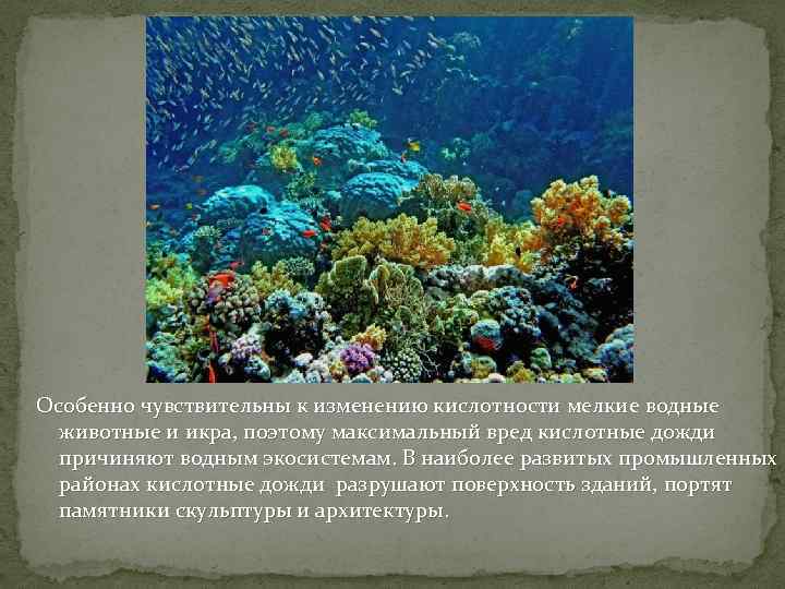 Особенно чувствительны к изменению кислотности мелкие водные животные и икра, поэтому максимальный вред кислотные
