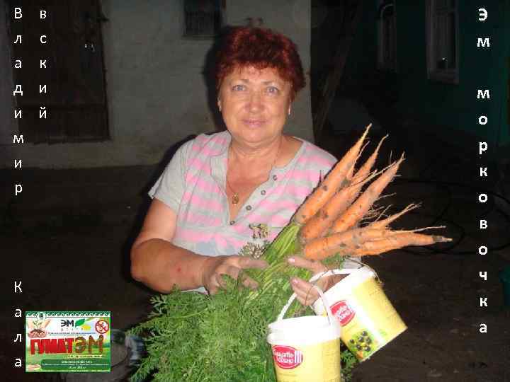 В л а д и м и р К а л а в с