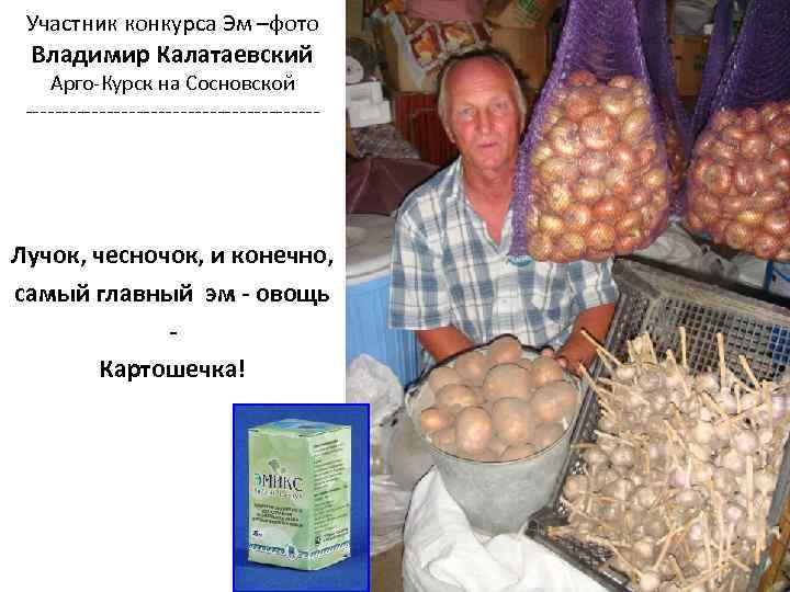 Участник конкурса Эм –фото Владимир Калатаевский Арго-Курск на Сосновской -------------------- Лучок, чесночок, и конечно,
