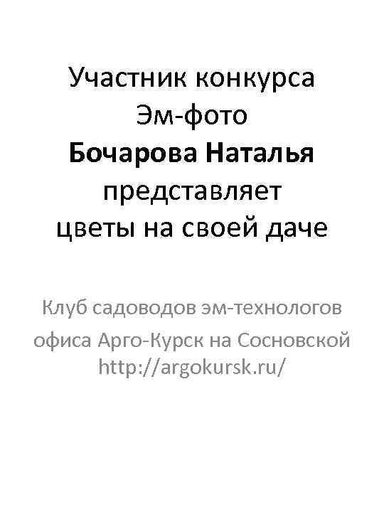 Участник конкурса Эм-фото Бочарова Наталья представляет цветы на своей даче Клуб садоводов эм-технологов офиса