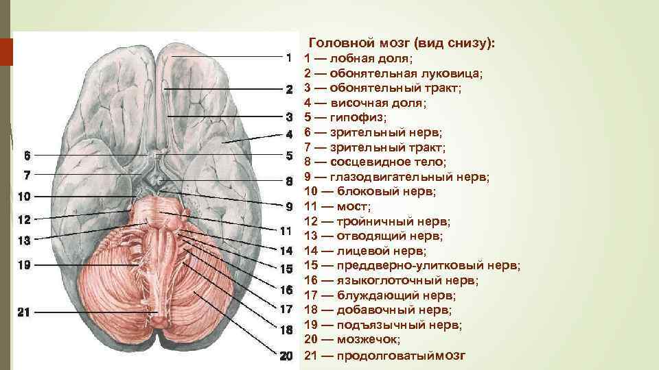 Продольное головное 2 позиция передний вид фото