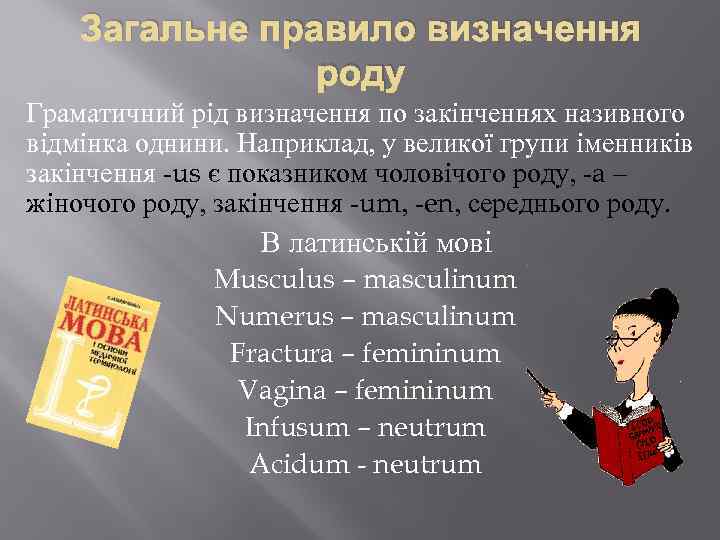 Загальне правило визначення роду Граматичний рід визначення по закінченнях називного відмінка однини. Наприклад, у