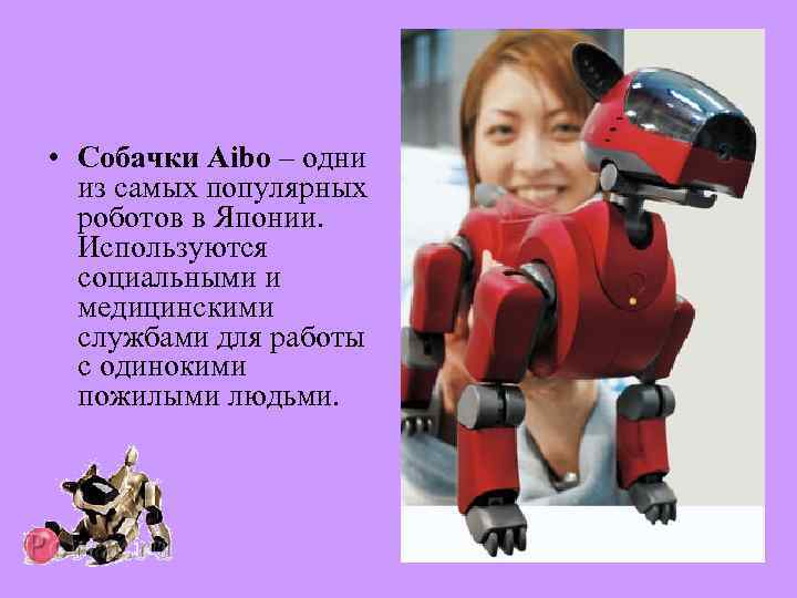  • Собачки Aibo – одни из самых популярных роботов в Японии. Используются социальными