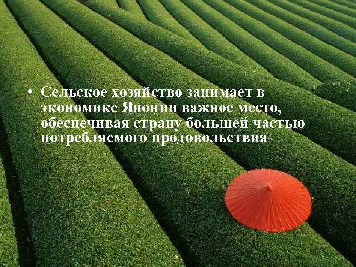  • Сельское хозяйство занимает в экономике Японии важное место, обеспечивая страну большей частью