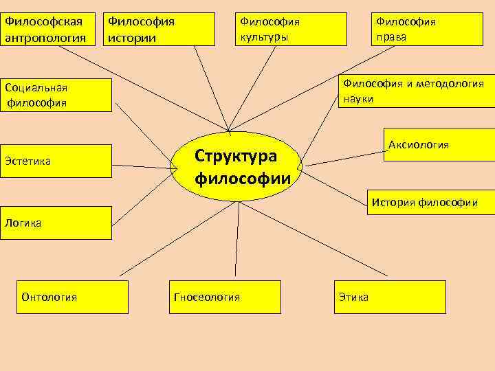 Философская антропология Философия истории Философия культуры Философия и методология науки Социальная философия Эстетика Философия