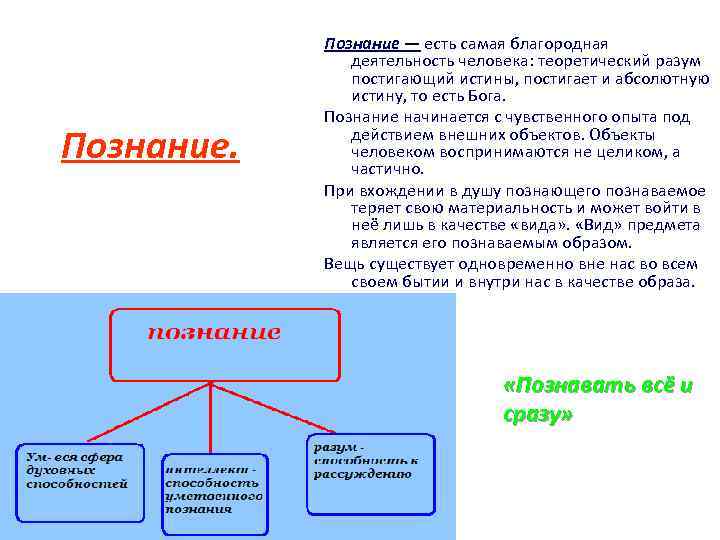 Познание. Познание — есть самая благородная деятельность человека: теоретический разум постигающий истины, постигает и