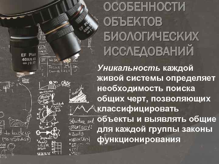 ОСОБЕННОСТИ ОБЪЕКТОВ БИОЛОГИЧЕСКИХ ИССЛЕДОВАНИЙ Уникальность каждой живой системы определяет необходимость поиска общих черт, позволяющих