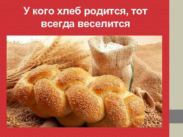 У кого хлеб родится, тот всегда веселится 