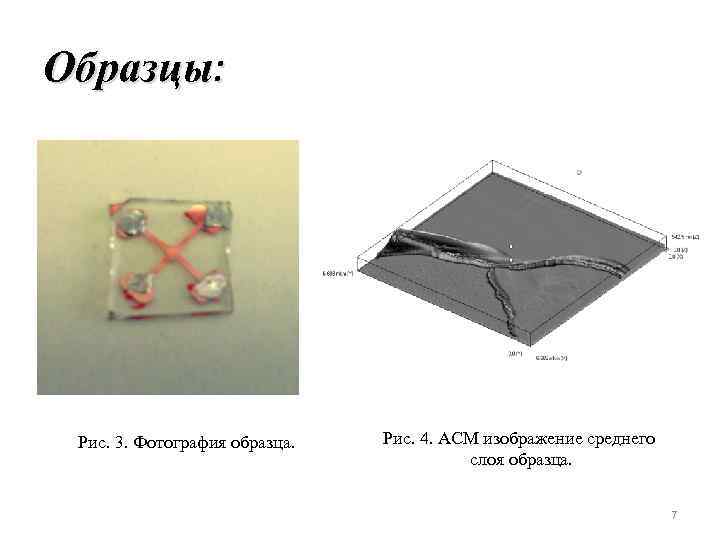 Образцы: Рис. 3. Фотография образца. Рис. 4. АСМ изображение среднего слоя образца. 7 