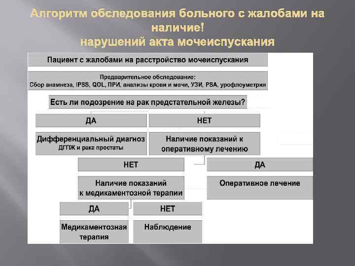 Алгоритм обследования больного с жалобами на наличие нарушений акта мочеиспускания 