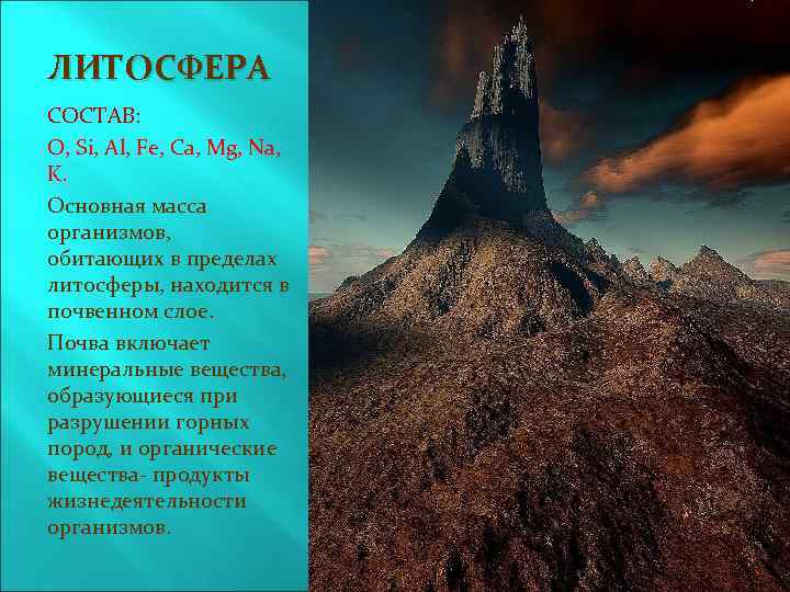 ЛИТОСФЕРА СОСТАВ: O, Si, Al, Fe, Ca, Mg, Na, K. Основная масса организмов, обитающих