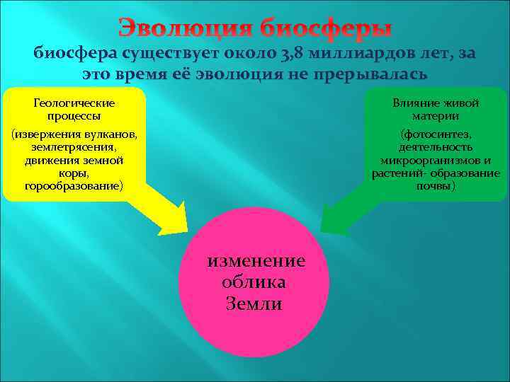 Эволюция биосферы биосфера существует около 3, 8 миллиардов лет, за это время её эволюция