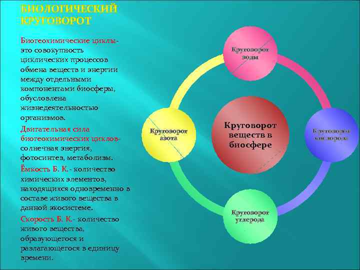 Биогеохимические циклыэто совокупность циклических процессов обмена веществ и энергии между отдельными компонентами биосферы, обусловлена