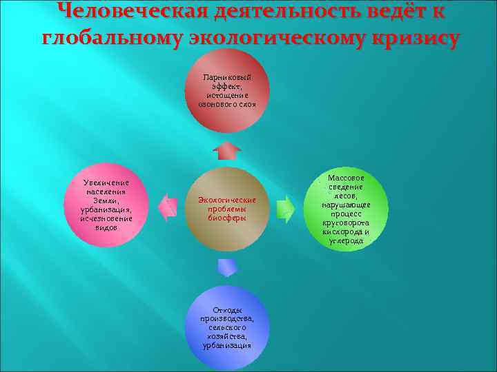 Человеческая деятельность ведёт к глобальному экологическому кризису Парниковый эффект, истощение озонового слоя Увеличение населения